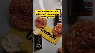 Энергетический баланс за 30 дней и два гриба в помощниках? #микродозинг .