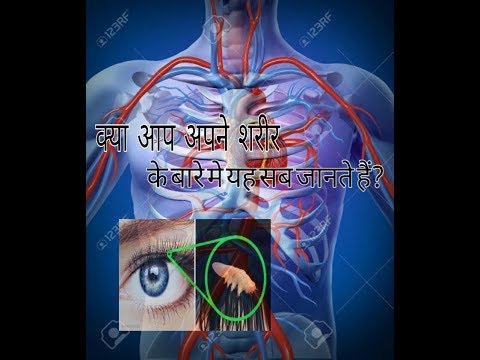 human-body-facts-||-हमारे-शरीर-के-रोमांचक-रहस्य-||-human-body-info-||-human-body-amazing-facts