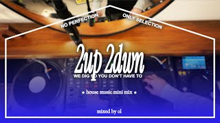 Deep House Mix - Vinyl Hybrid on XONE 43 | 2Up 2Dwn