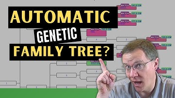 This Tool Will TRANSFORM Your DNA Matching Research: Genetic Affairs AutoKinship