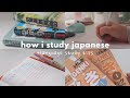 how i study japanese + language learning tips for self-studying