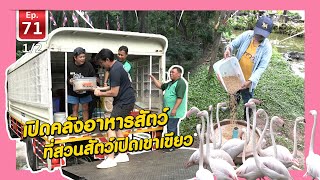 เปิดคลังอาหารสัตว์ที่สวนสัตว์เปิดเขาเขียว - เพื่อนรักสัตว์เอ้ย EP.71 [1/2]