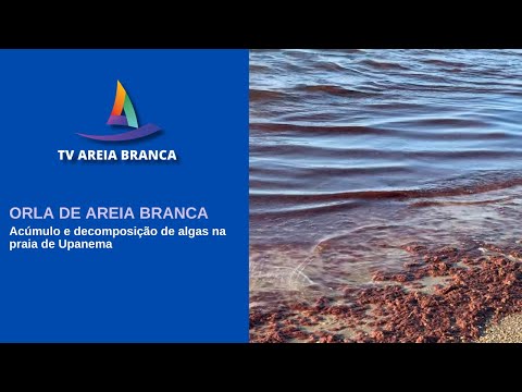 ACÚMULO DE DECOMPOSIÇÃO DE ALGAS MARINHAS ENTRAM EM PROCESSO DE ESTUDOS POR EQUIPE DA UERN
