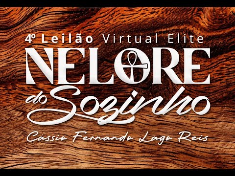 Lote 46   MADAME FIV SERILON   SERI 1393 zap