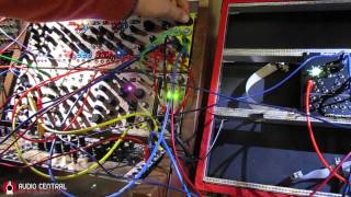 Erthenvar Patch Chord.mov