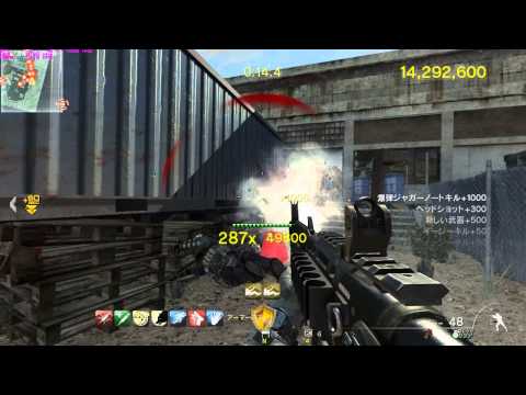 CoD　MW3 PC版 カオスモード AIM力欲しい（切実