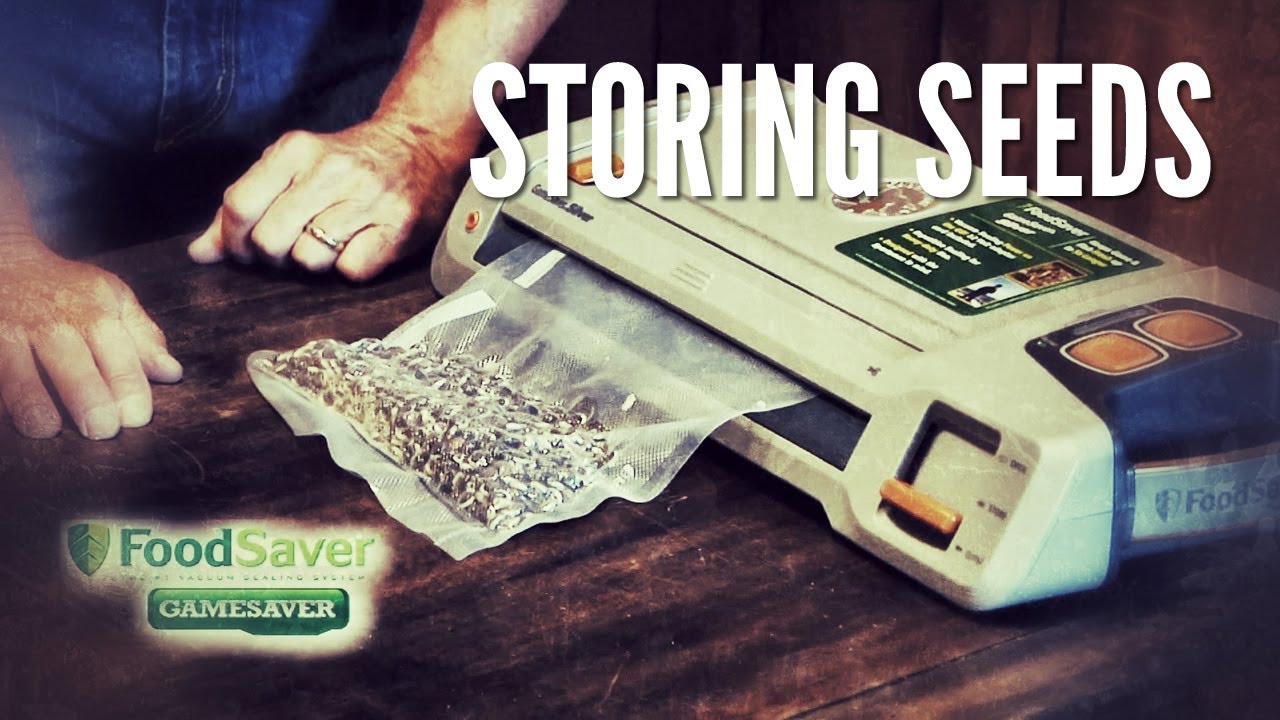 How to organize your vegetable and herb seeds for long term storage 