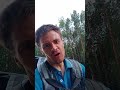 Доволен, палец тянется вверх )