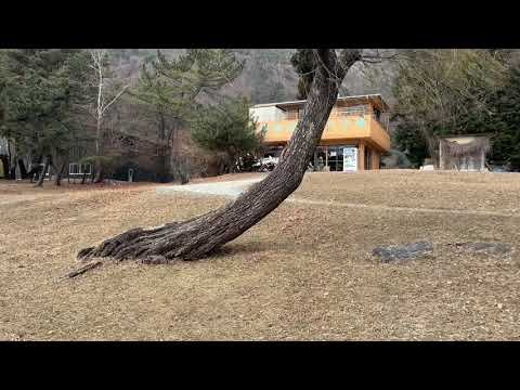 山梨県富士河口湖町のキャンプ場のロケハン動画