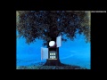 04 The custom of amok - Wim Mertens