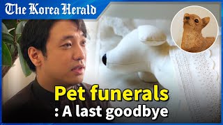 [ENG sub] Pet funeral: Offering farewell to companion animals in Korea