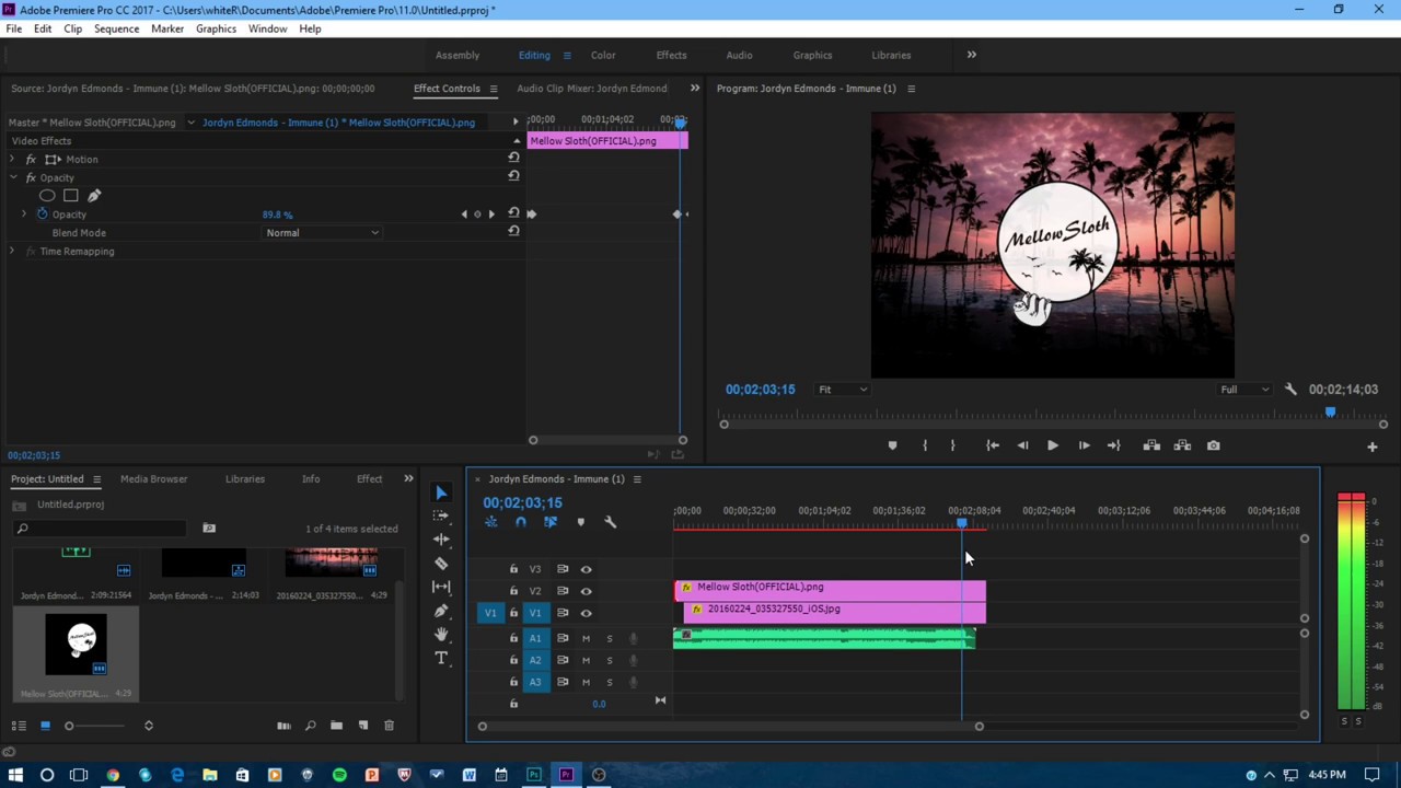 adobe premiere pro cs4 fade in