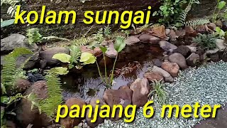 membuat kolam sungai untuk anakan koi | kolam natural