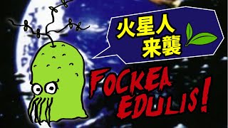 【塊根植物/コーデックス】火星人がやってきた！