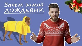 Дождевик для собаки Дождевик для собаки