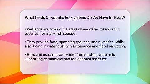 What Kinds Of Aquatic Ecosystems Do We Have In Texas? - Ecosystem Essentials