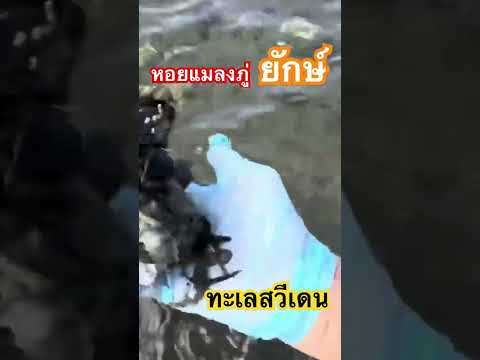 สถานที่สําคัญทางประวัติศาสตร์ ยุโรป