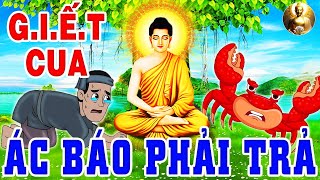 Quy Luật Nhân Quả Báo Ứng, G.I.Ế.T CUA ĂN THỊT - Quả Báo Sát Sinh Hậu Quả Về Sau Rất Đáng Sợ