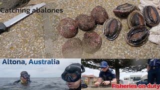 Australia Snorkeling & Catching abalones. Fisheries approaching. Bắt bào ngư ở Úc