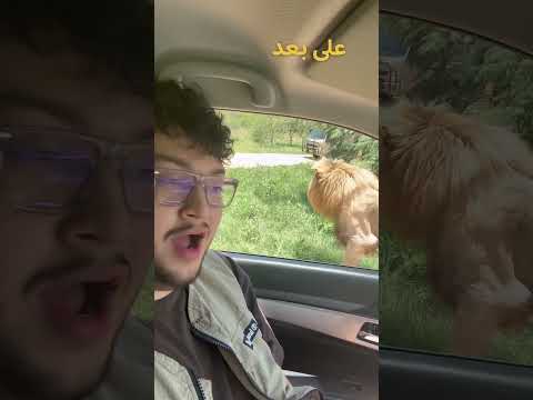 اخطر حديقة بالعالم