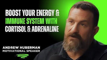 How Cortisol & Adrenaline Power Your Energy and Immunity | Huberman Lab