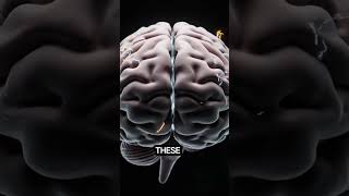 Your Brain Can Type Without a Keyboard 😲 #Shorts #facts #factsshorts #arcticfacts #mindbites