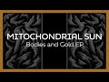 Capture de la vidéo Mitochondrial Sun - Bodies And Gold (Ep)