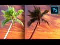 Cut Out Trees Without Halos or Fringes in Photoshop!