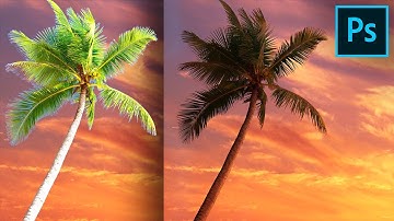 Cut Out Trees Without Halos or Fringes in Photoshop!