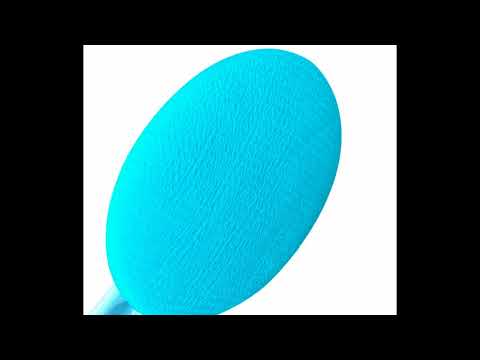 Video Bath Brush With Extra Long Handle