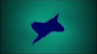 Full Best Animation Logos in G-Major 58 (FIXED) 