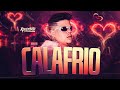 ROGERINHO - CALAFRIO