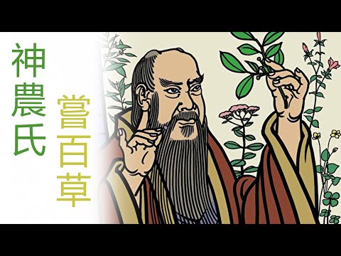 寧上道 - 神農氏嘗百草 (茶文化故事 01)
