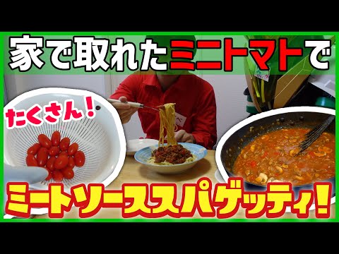 【レシピ】採れたてトマトでスパゲッティ作り！【無視！？】