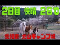 ちょっと遠征 愛知県 犬山キャンプ場後編(快晴)(うずらの肉団子)(Chichiri's Factory)(SOLOCAMP＋Wan's 3)