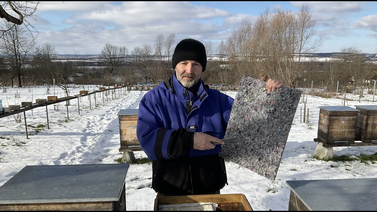 Час утеплювати бджолині сім‘ї. (12.02.2023 р.)