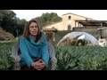 ▶ La Kosturica, documental sobre agricultura ecològica