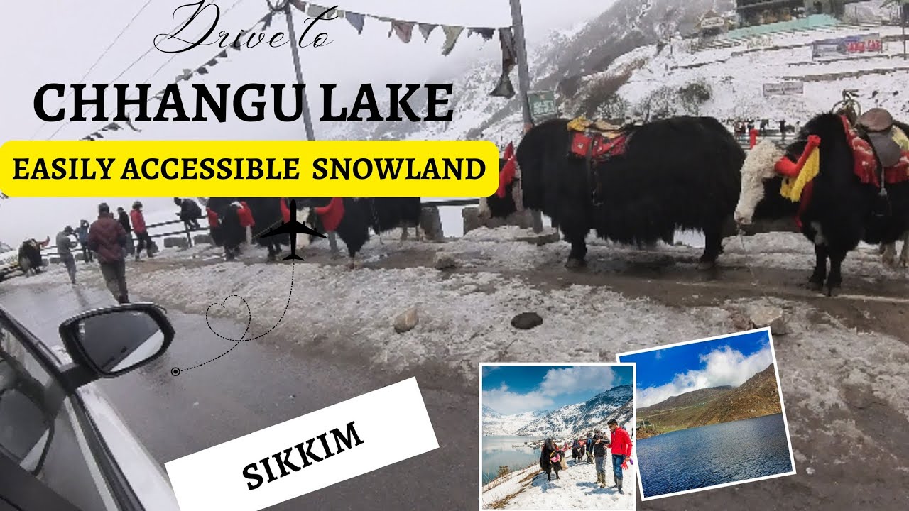 Changu Lake || Frozen || Sikkim