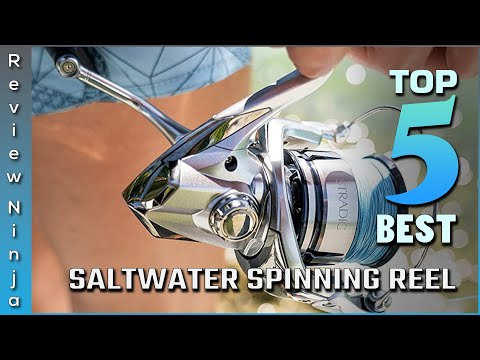 Top 5 Best Saltwater Spinning Reels Review In 2022