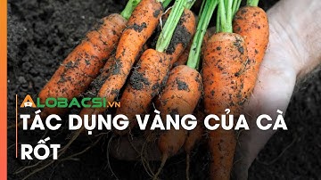 Tác dụng vàng của cà rốt