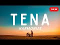 Harmonize - Tena (Lyrics)