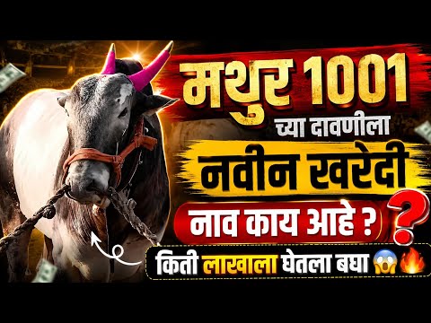 १००१ च्या दावणीला नवीन खरेदी टॉप😱🔥| किती रक्कम नाव काय?🤩विक्री कोणाची?🔥#mathur #2026#bailgada#viral 