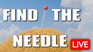 Finding a Needle in a Giant Haystack (Literally) - Find the Needle LIVE 🔴