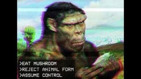 SatW Livestream 2025-12-14: Esoteric NEETism