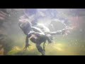 Middle of video