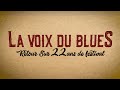 Capture de la vidéo Documentaire : La Voix Du Blues "Retour Sur 22 Ans Du Festival"