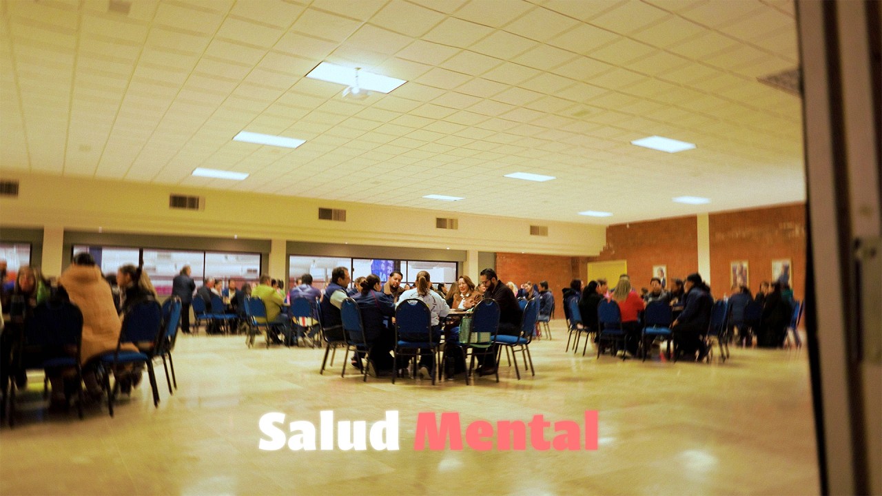 Salud Mental Consejo Técnico