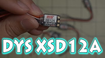 DYS XSD 12amp DSHOT ESC ⚡✔