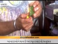 Jalta hua Banarsi pan khaie rajkot me