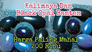 🔴 EPS 152 BLACK OPAL DAN KALIMAYA BANTEN HARGA PALING MAHAL 200 RIBU @Aldikalimaya
